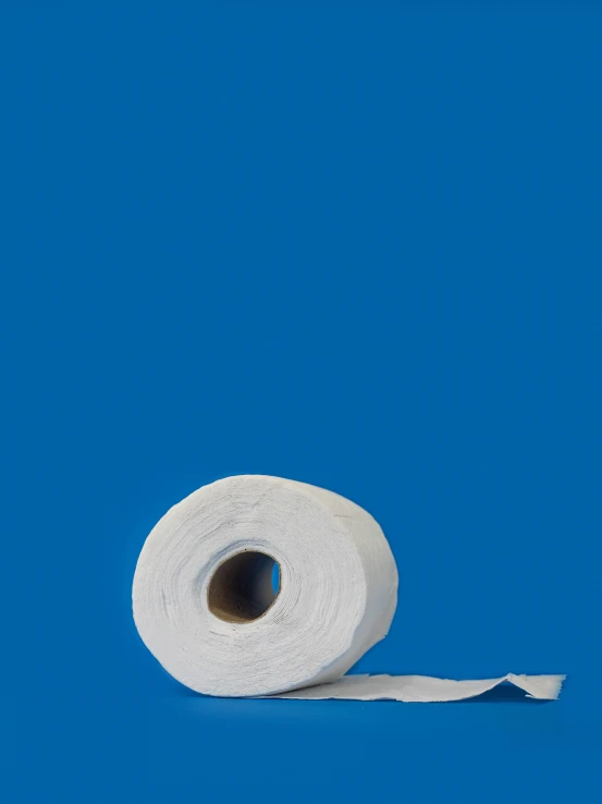 a roll of toilet paper on a blue background
