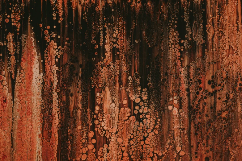 a bunch of water droplets on the surface of an orange and black wall