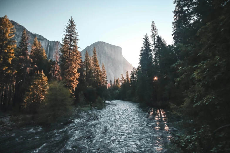 a river with the sun glaring through the trees and a mountain in the distance