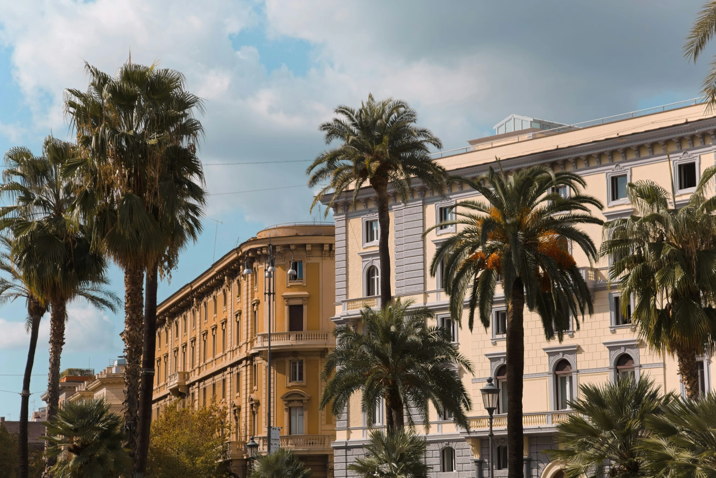 palm trees surround an ornate old building in the background