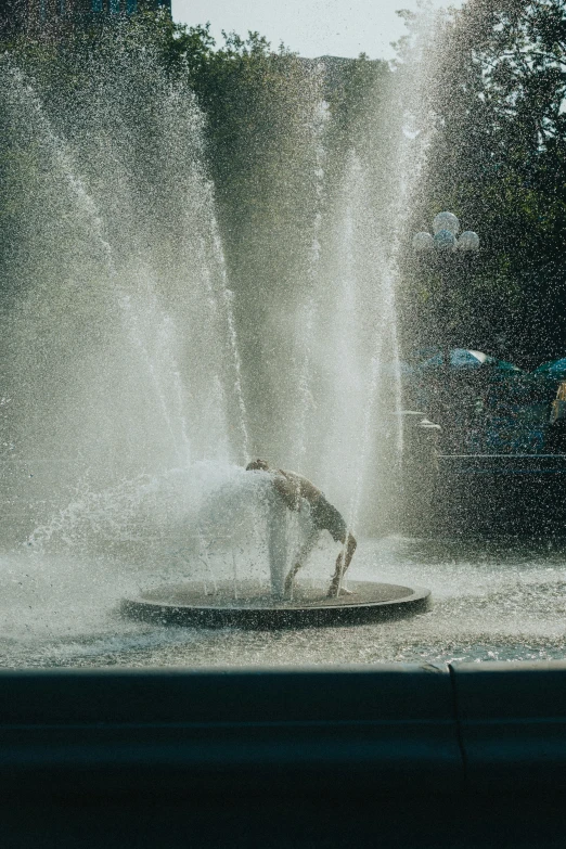 a man and his dog playing in an outdoor fountain