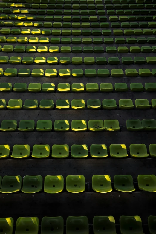 yellow plates lined up in rows on a black surface