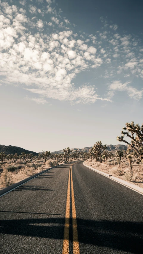 a lone highway in the middle of an open area