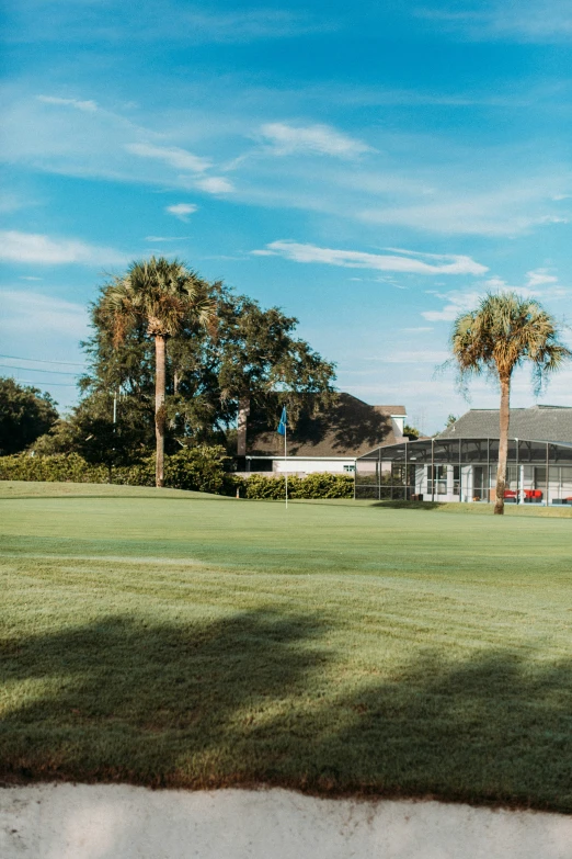 view from the grass to a white house and palm trees