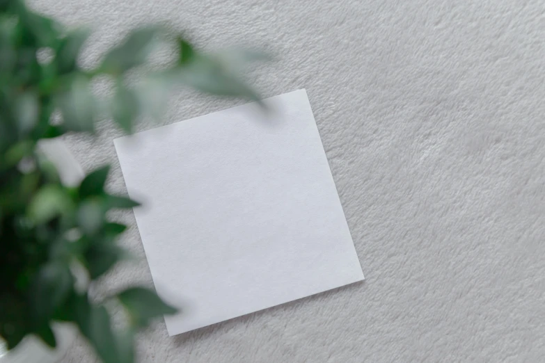 a white sheet of paper on the wall with greenery