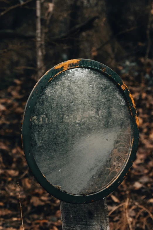 a mirror that has been broken in some woods