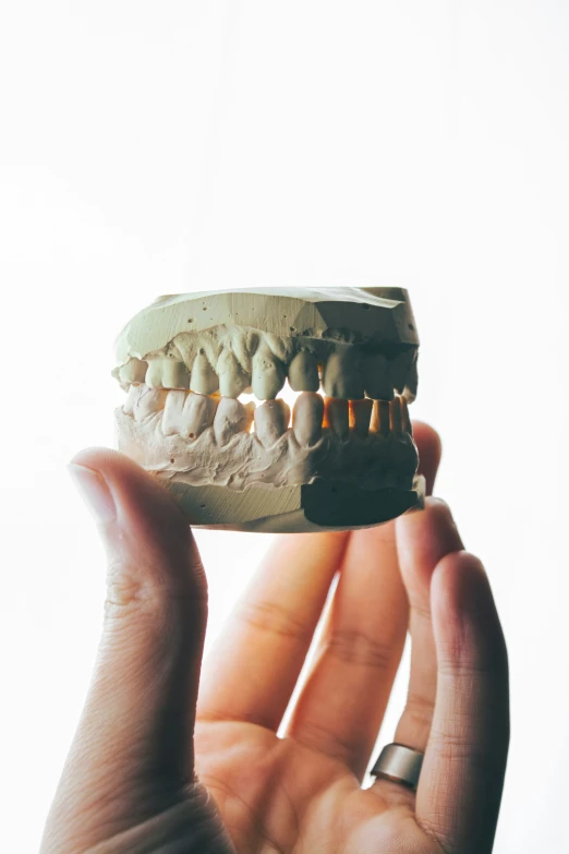 a hand holds a fake human's teeth on its jaw