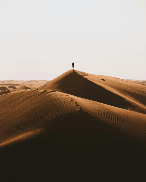 there is a person standing in the middle of a desert