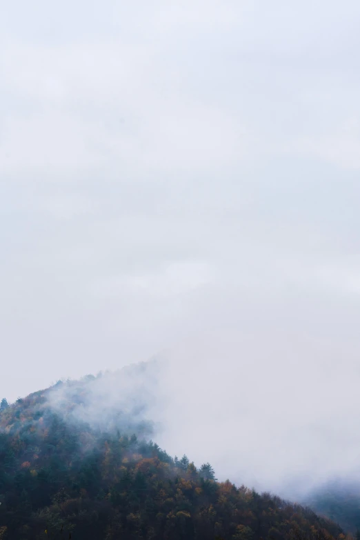 a plane is flying through the clouds near some trees