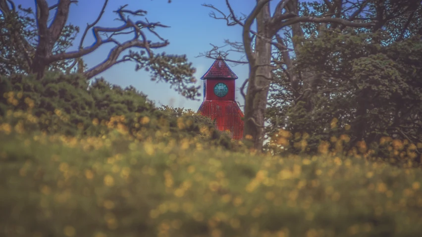 there is a red clock tower sitting in the forest