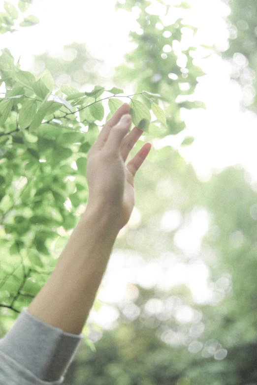 a person reaching up into the air with their hands