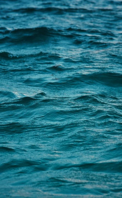 a person riding a surf board on top of a wave