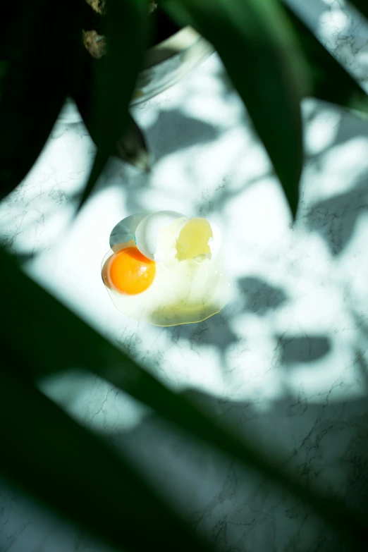 an image of eggs that are on some white table