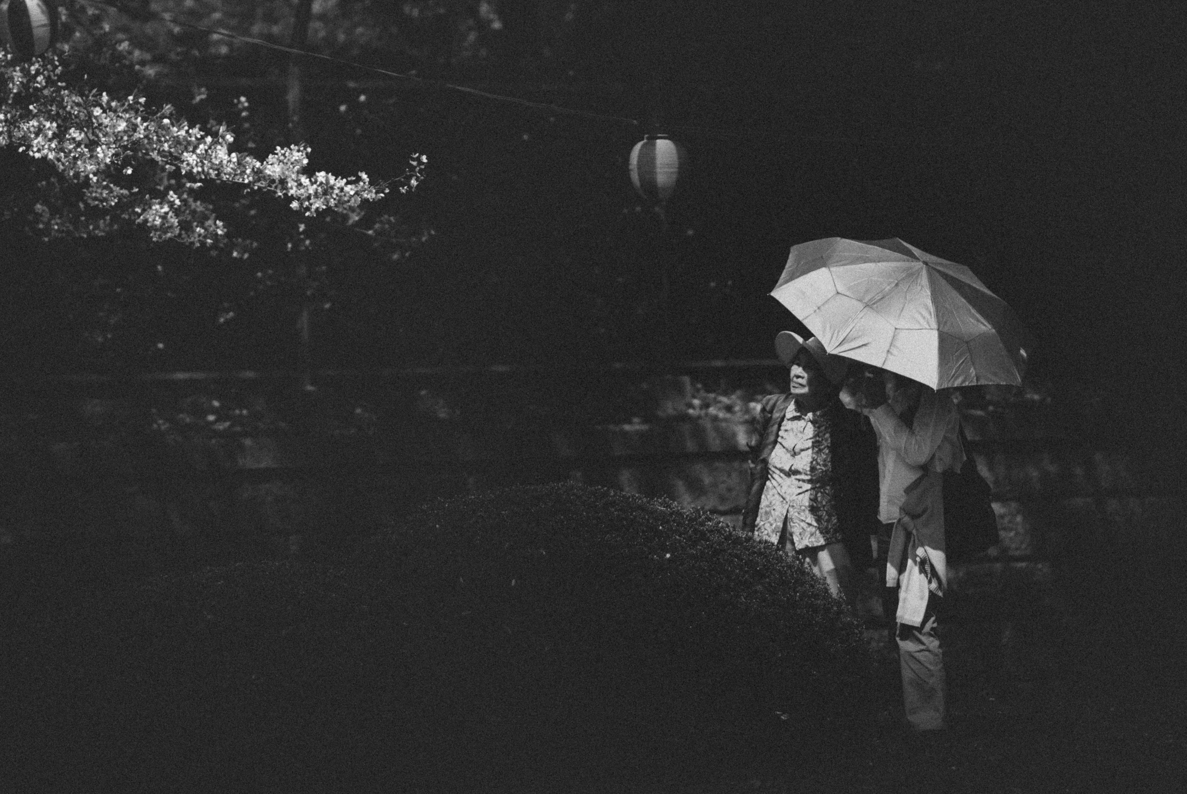 a woman holding a umbrella walks near a rock wall