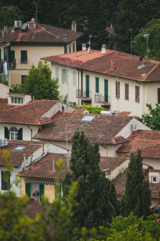 some buildings and trees with a green tree near by