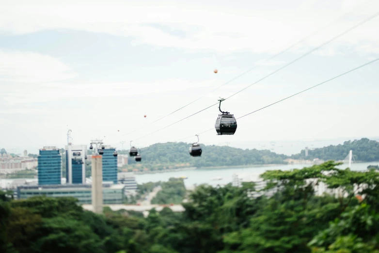 the gondola is attached to a long cable and above the trees