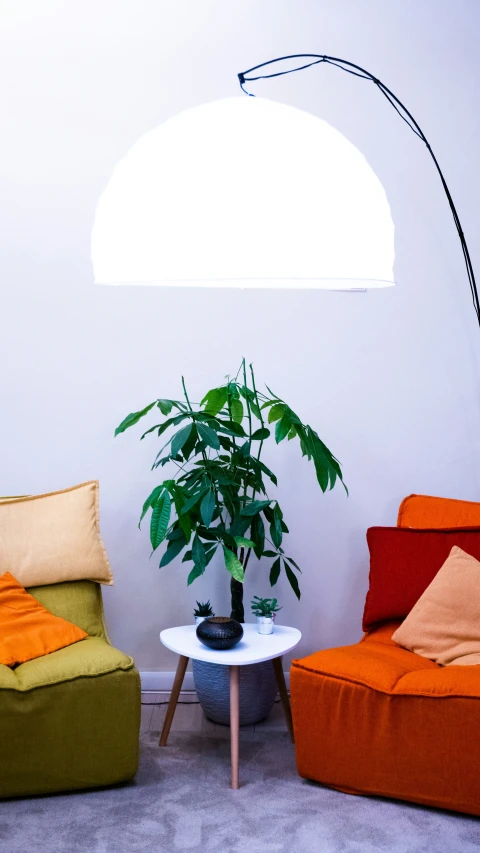 a plant sits in the corner on a table next to two couches