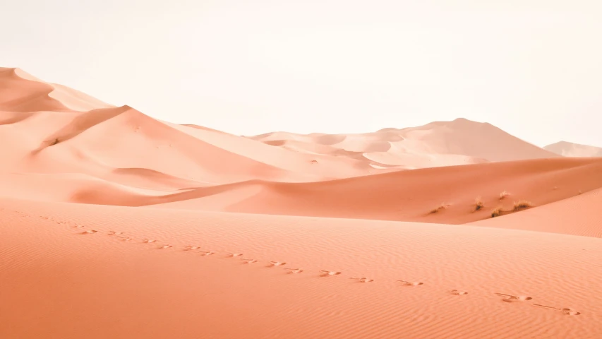 the large desert has lots of sand dunes