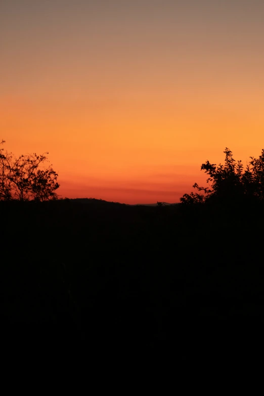 two giraffes are silhouetted by the sun setting