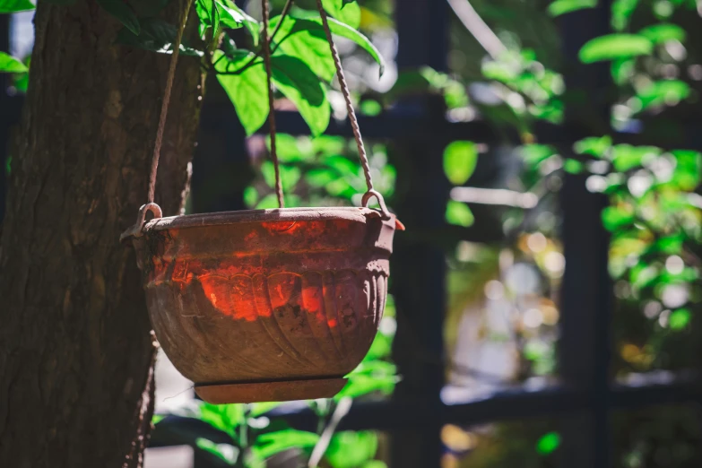 a brown hanging planter is shown near a tree