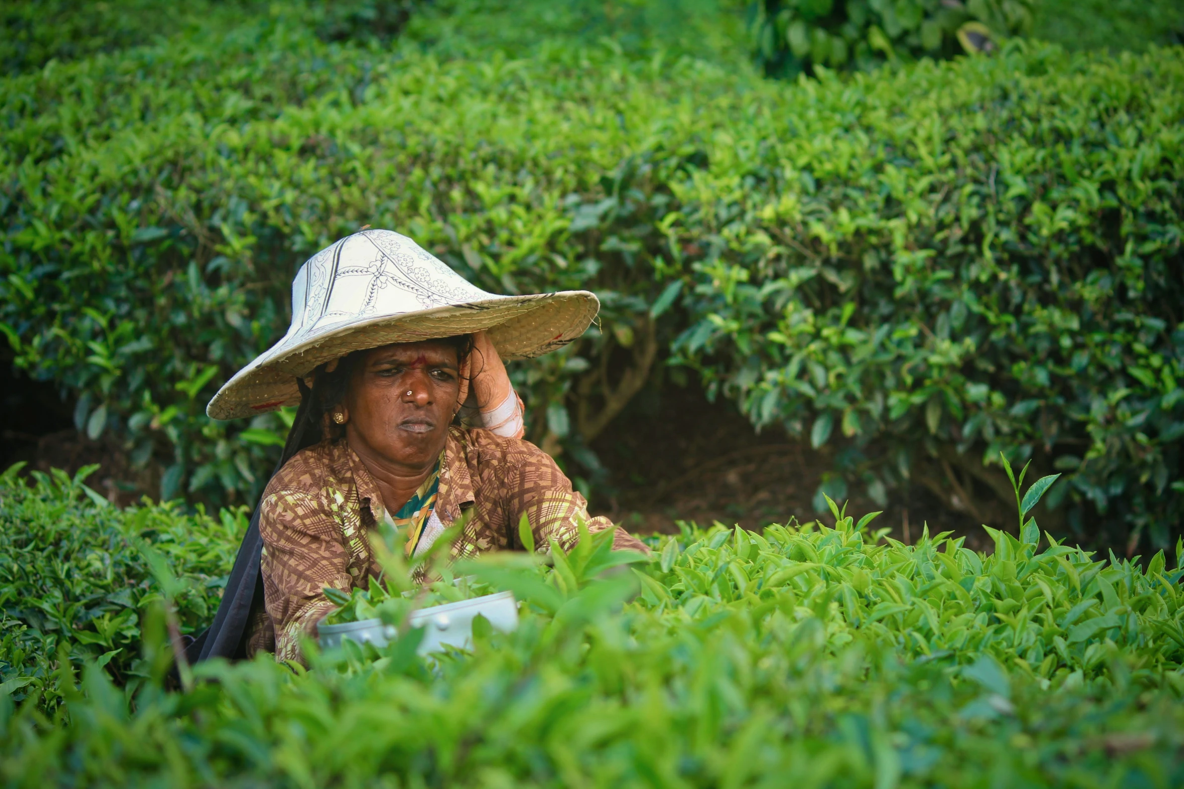 a woman wearing a straw hat on a cell phone in a tea field