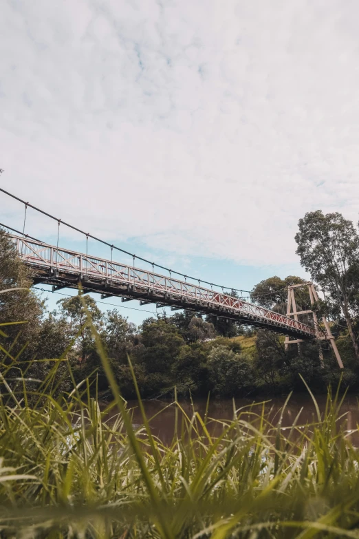 a foot bridge over a river in the jungle