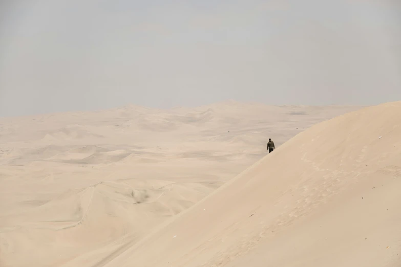 a lone animal standing on top of a very large dune