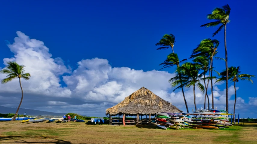 a thatch roofed hut sits on an island of palm trees