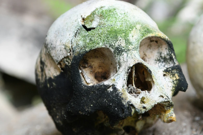 a close up of an old, broken looking skull