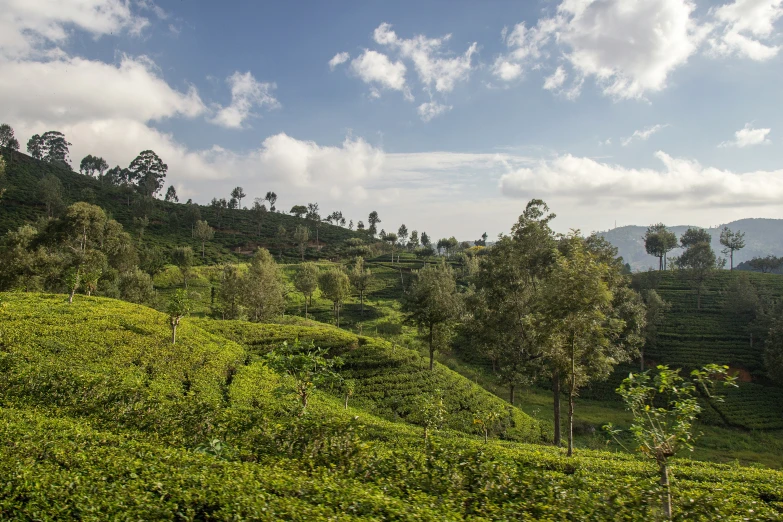 a blue sky with clouds above lush green hillside