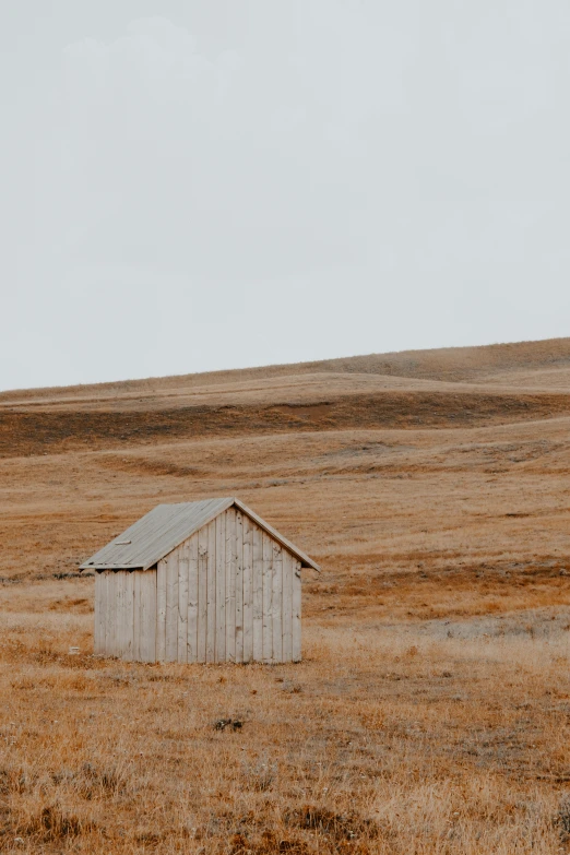 a barn standing in the middle of a field