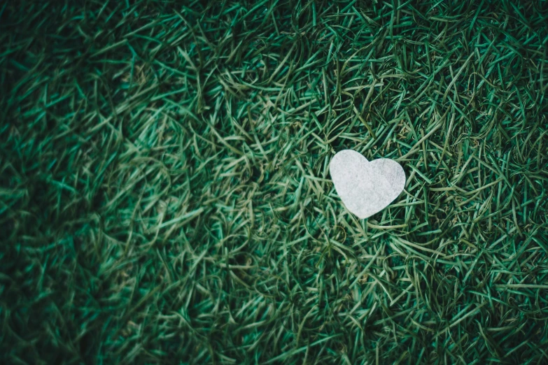 a piece of paper is placed on some grass