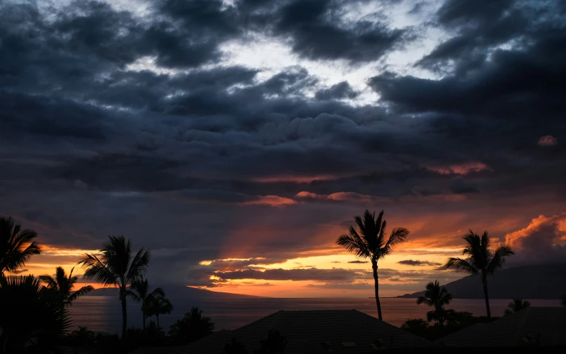 there are three palms trees and the sunset