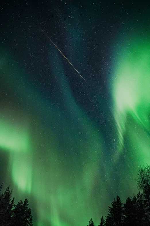 a night sky that has green lights and a tree