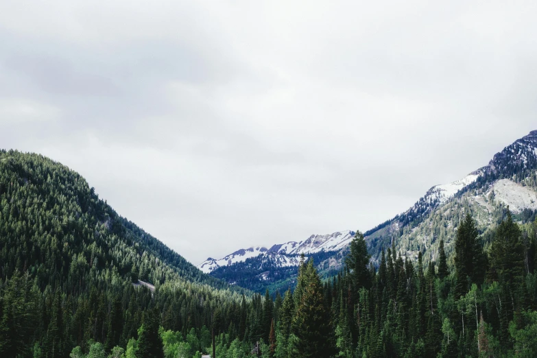 a scenic view of mountains covered with snow and trees