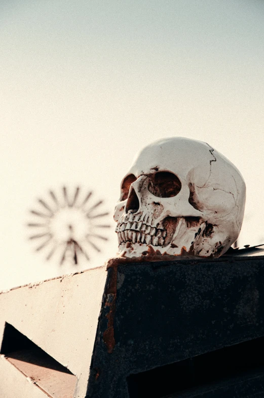 a small skull is sitting on top of the roof