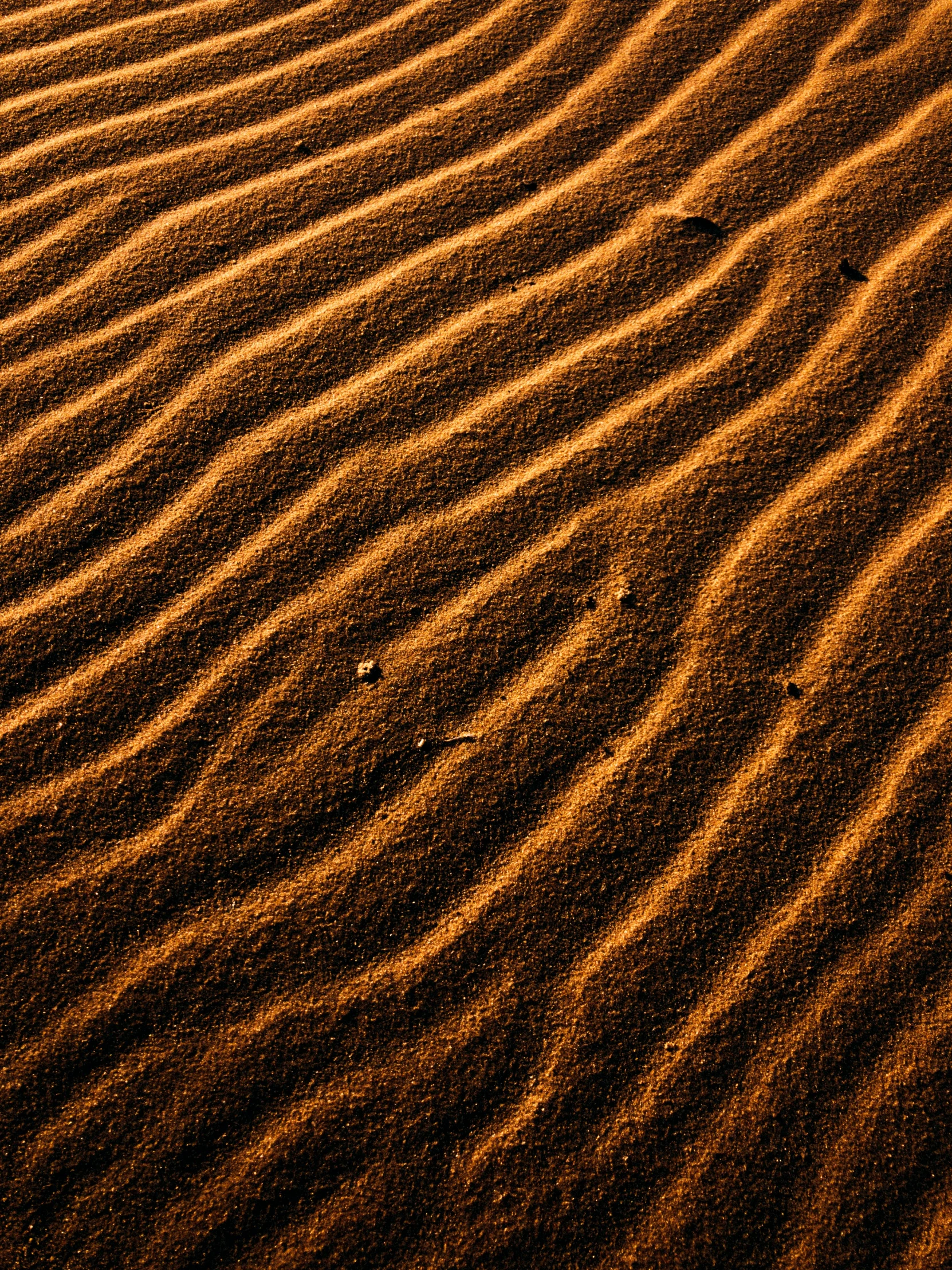 the sand ripple pattern is brown and has a black bird perched on it