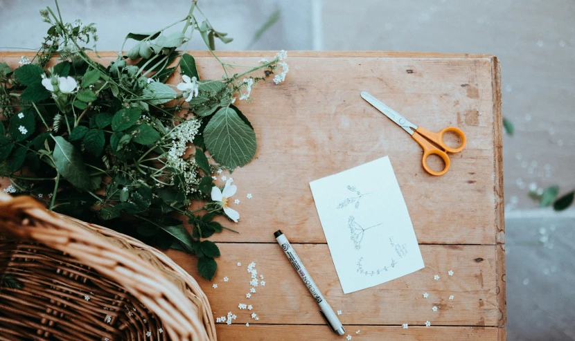 scissors, a pencil and a plant sit on a wooden table