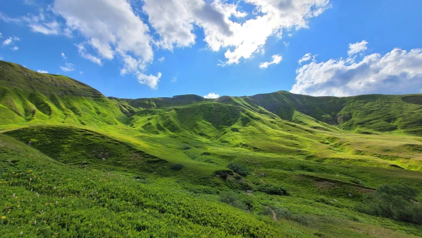 a lush green hillside with a blue sky above