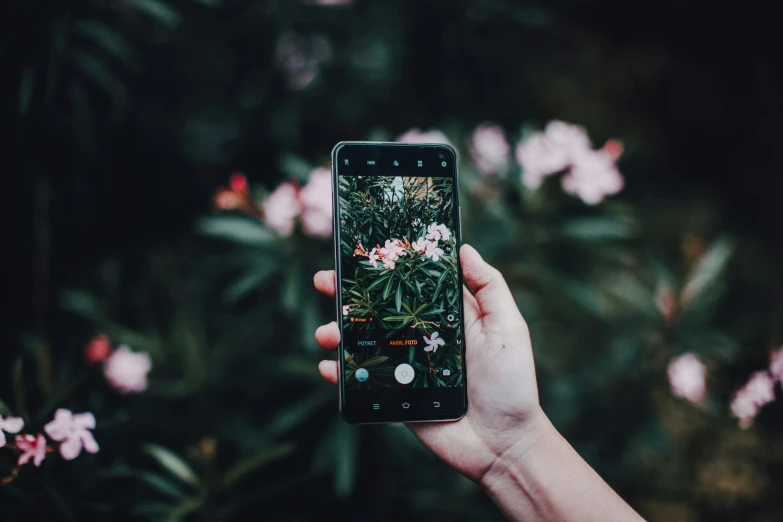 a hand holding a black cell phone with the image of flowers on it