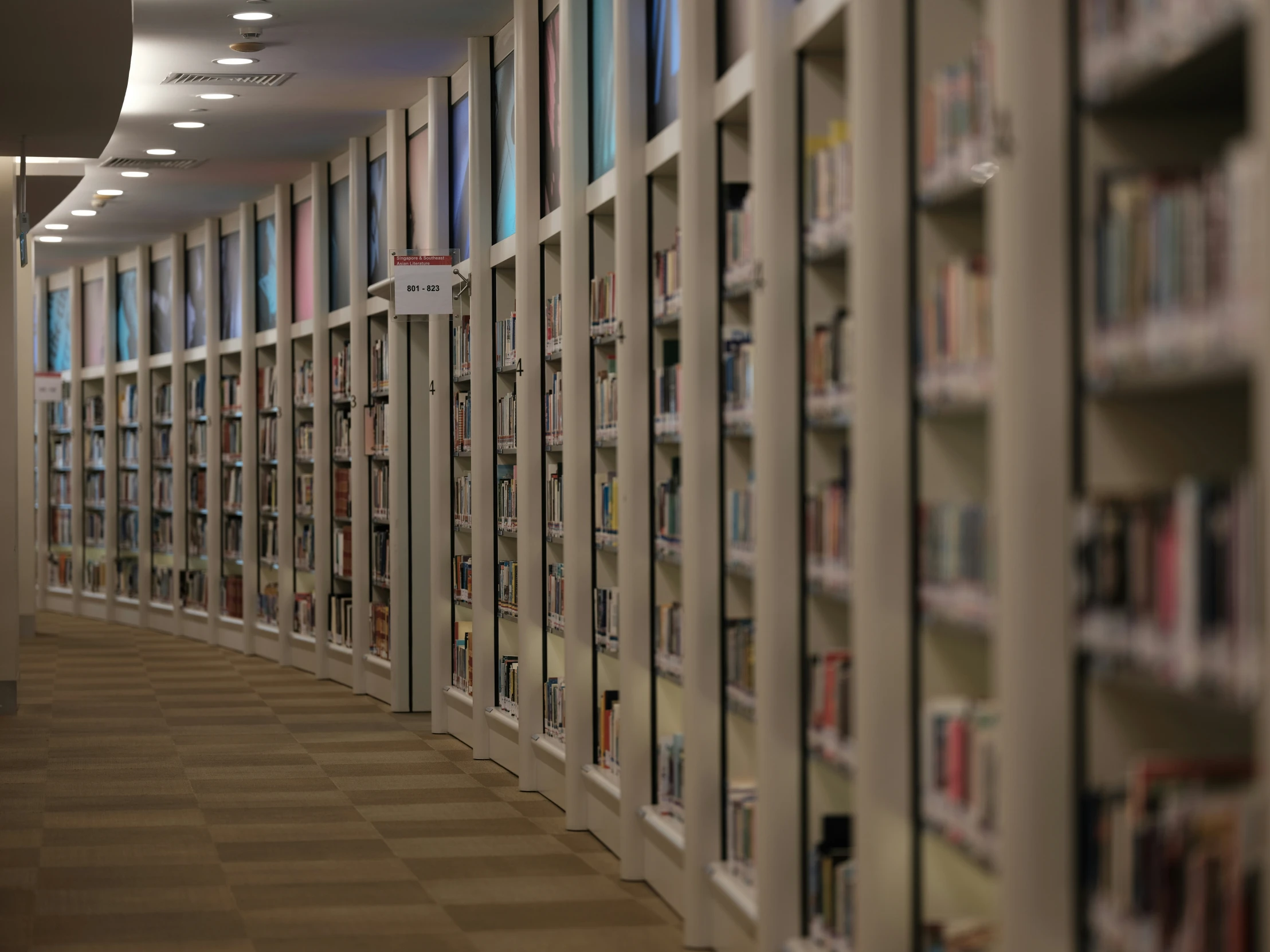 rows of books on display in a public liry