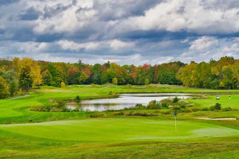 a large green with a pond at the top of it