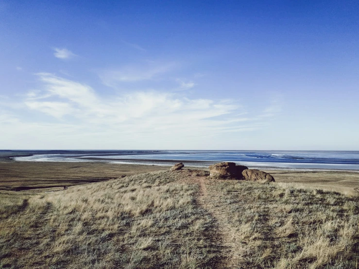 a field next to the ocean on top of a hill