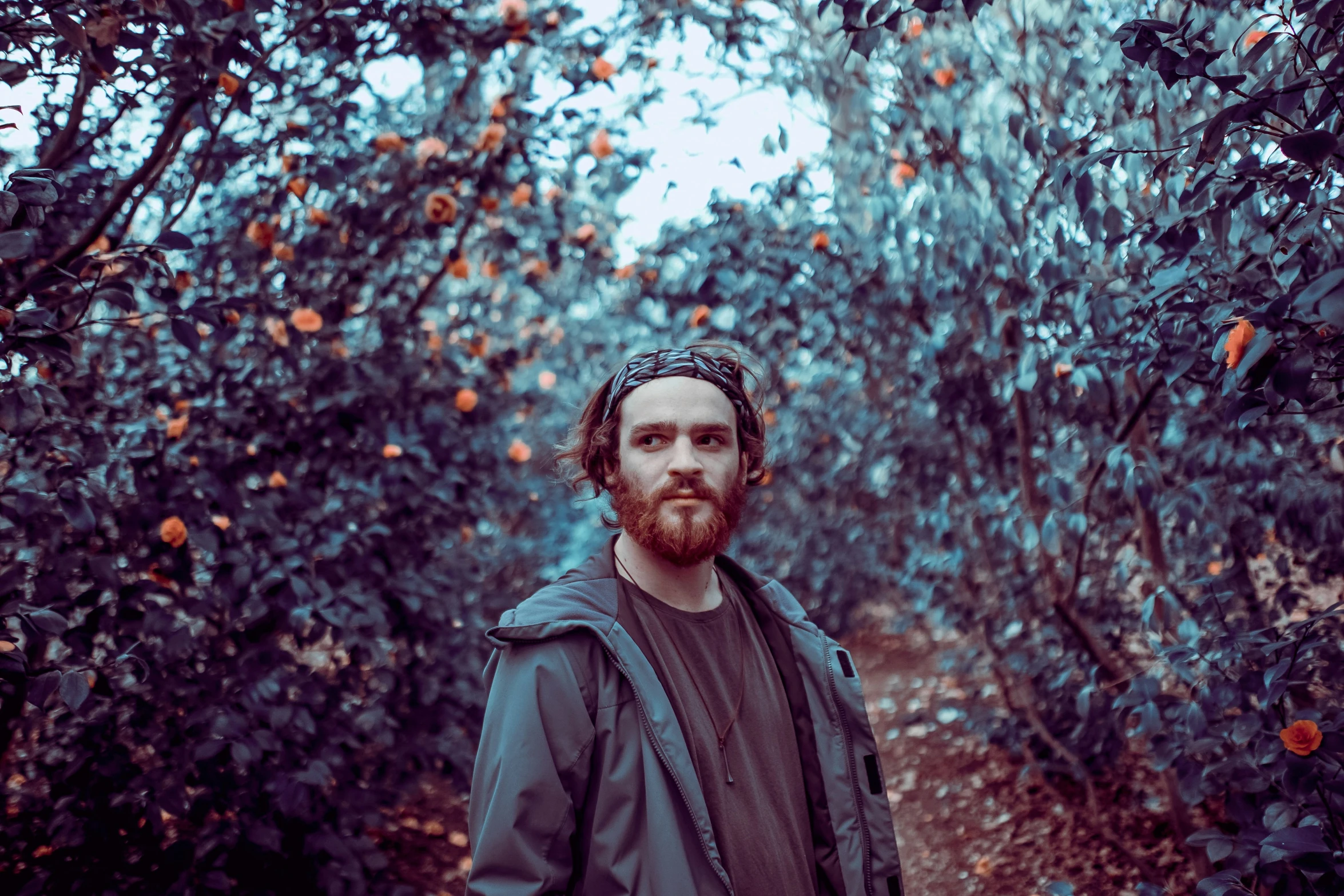 a man standing in the middle of a fruit orchard