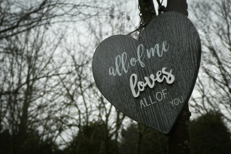 an odd shaped sign hanging from a tree