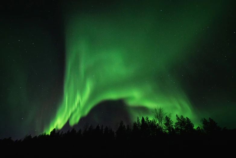 the aurora bores glowing in green light