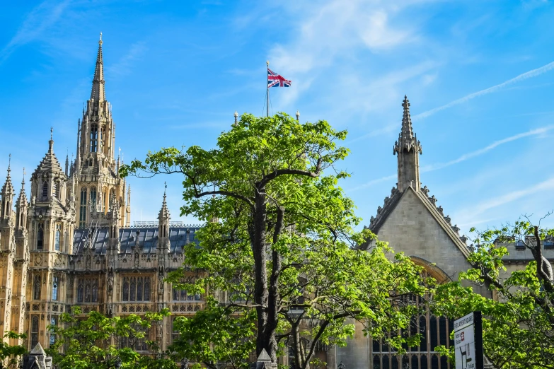 a beautiful view of a cathedral through trees