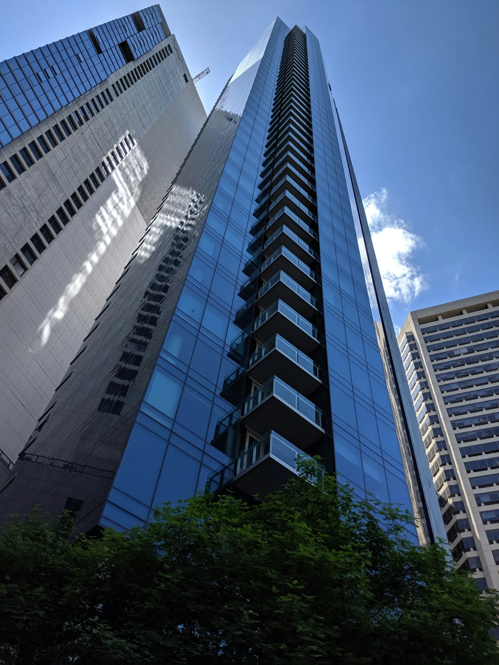 tall glass buildings rise against the blue sky