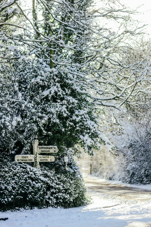 a winter scene with snow on the ground and street signs