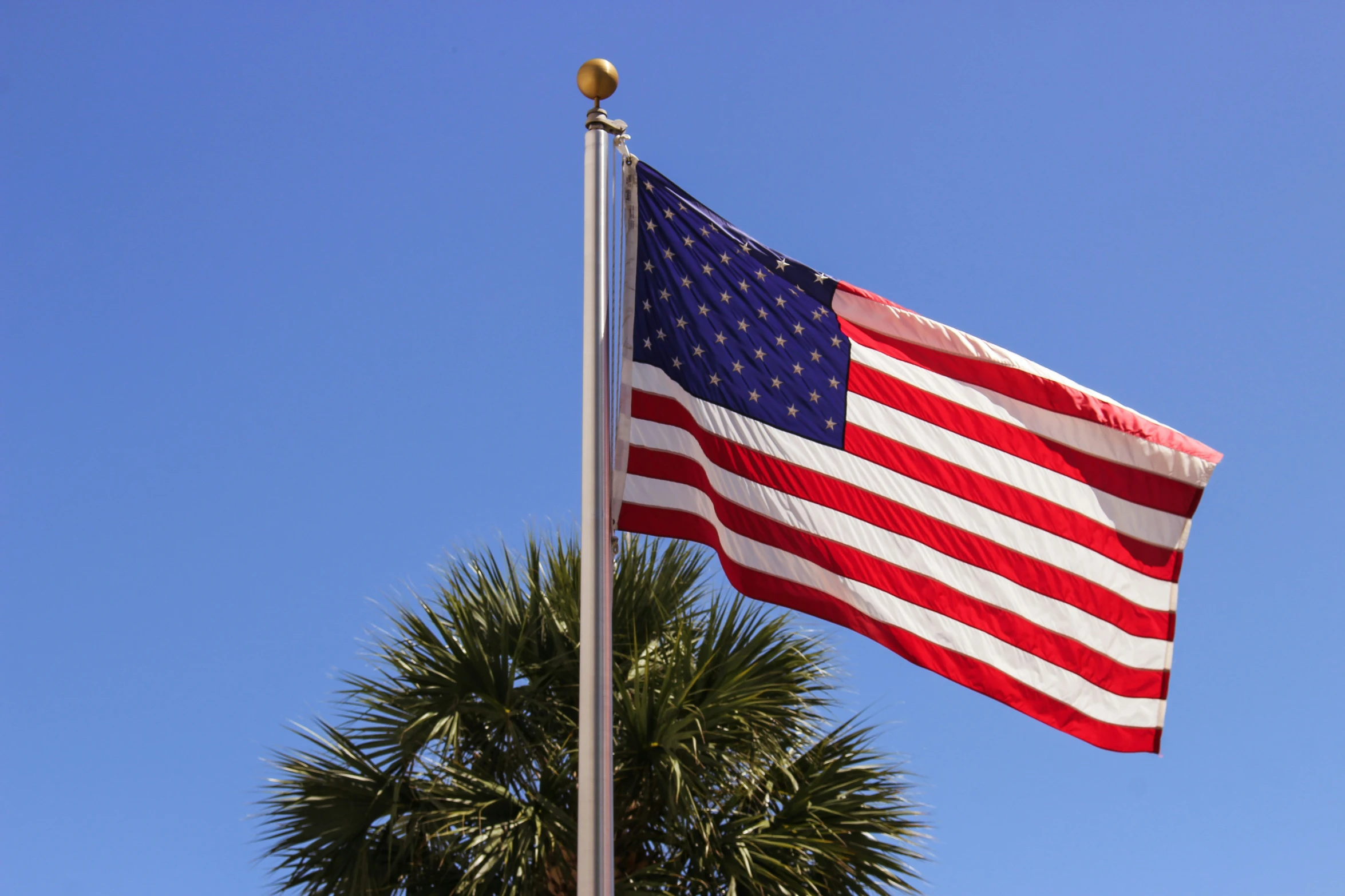 an american flag fluttering in the wind near a palm tree